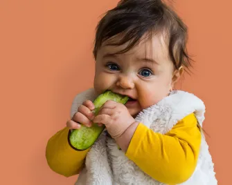 Baby knabbert an Gemüse
